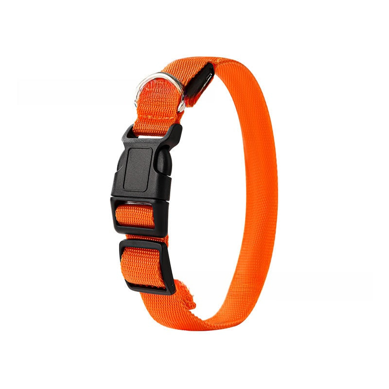 USB Rechargeable Pet Light Up Collar