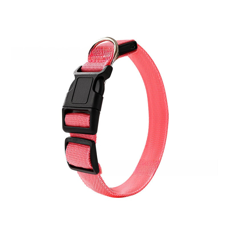USB Rechargeable Pet Light Up Collar