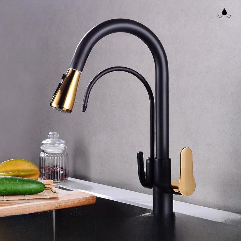 Antique Copper Three-in-One Kitchen Faucet