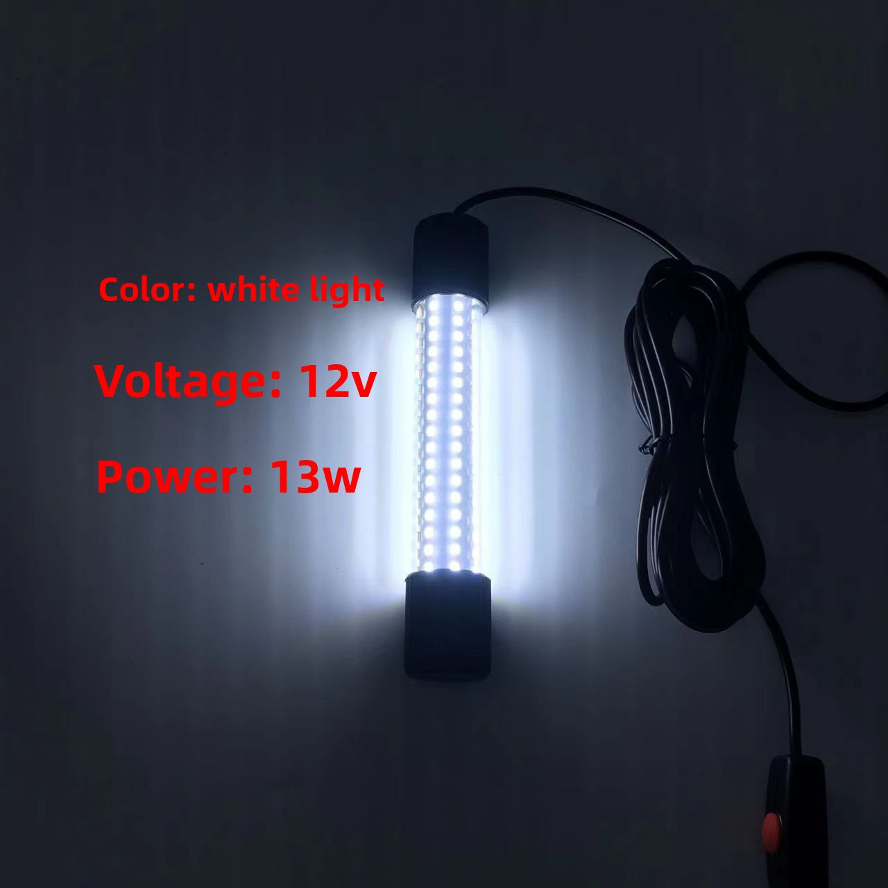 12V LED Fish Luring Light